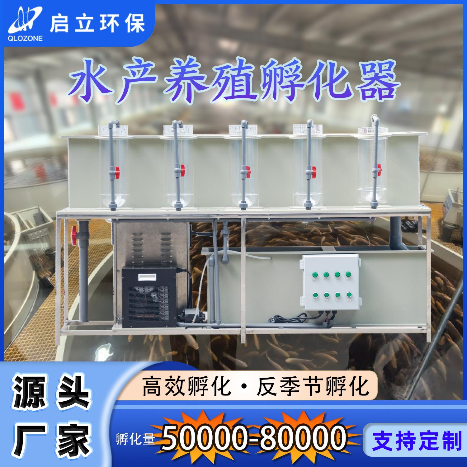 鱼卵孵化系统水产养殖工厂化循环水养殖罗非鱼鲶鱼苗孵化设备