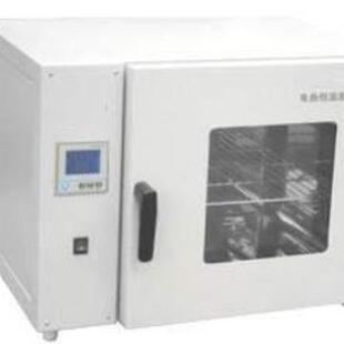 液晶屏 新品 精准 精密电热恒温鼓风干燥箱 台式 9023A