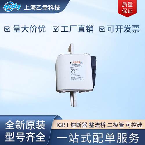 巴斯曼熔断器170M6362170M6363170M6364170M6365170M6366