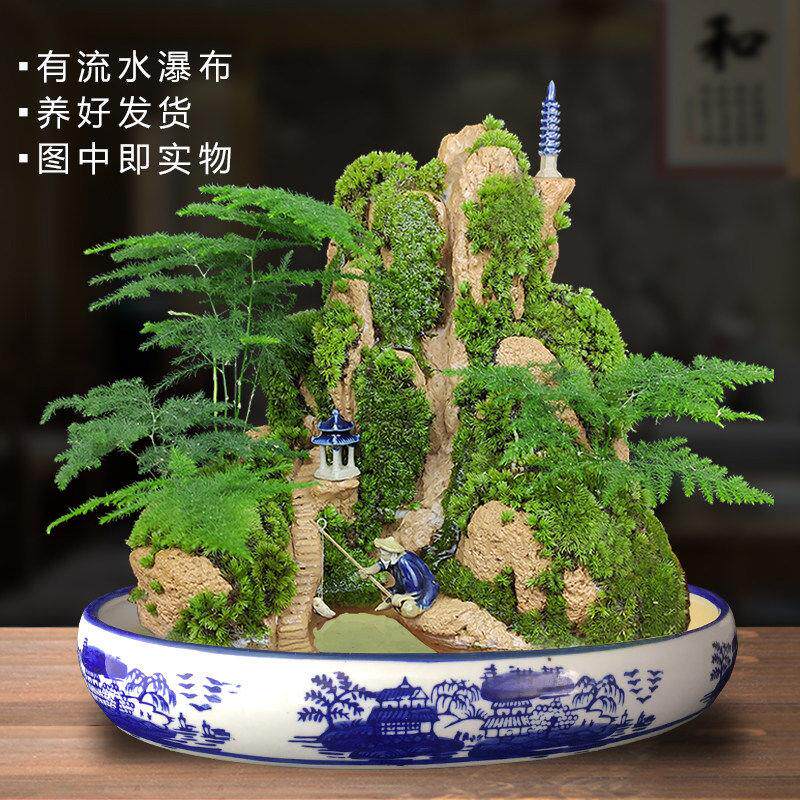 流水版吸水奇石假山盆景上水摆件石天然室内山水植物原小石头造景