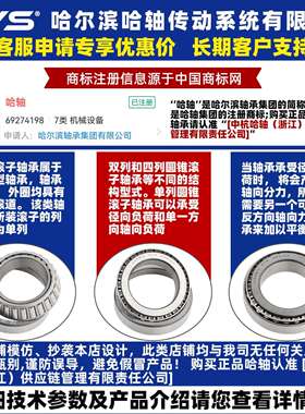 RYS 哈轴传动  32976 32980 32984