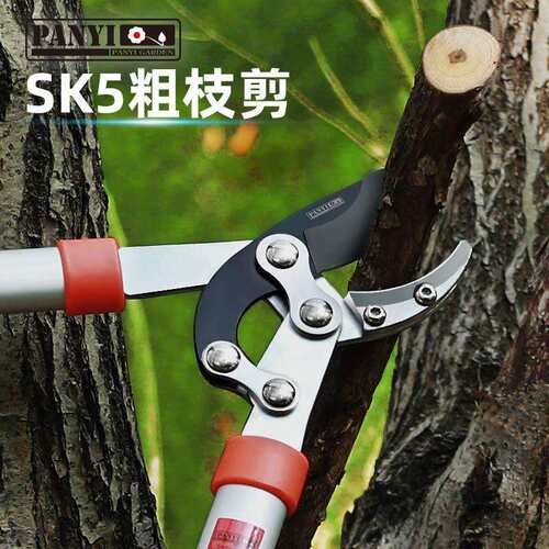 大剪刀园艺省力剪粗枝剪高枝修枝剪树枝果树绿化伸缩剪刀园林工具