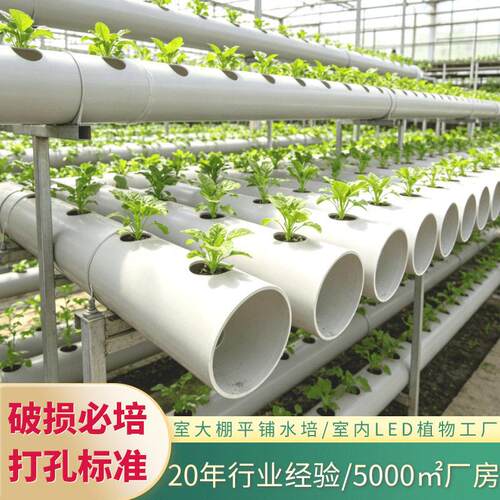 加厚pvc无土栽培管大棚种植PVC管观光采摘园草莓蔬菜定植打孔管