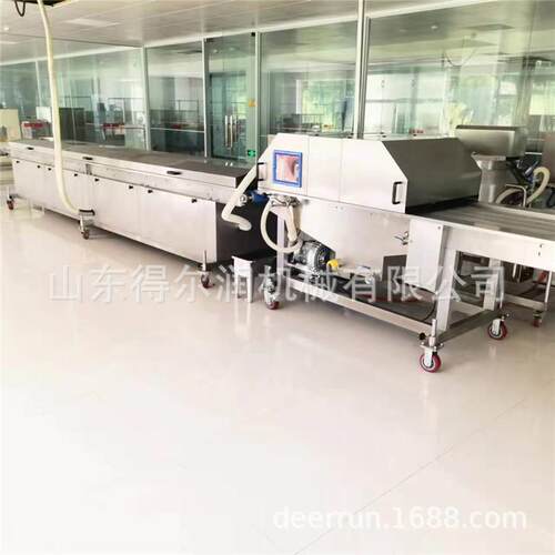 长白山人参片巧克力涂层机裹涂厚度可调隧道低温冷却DR-600型