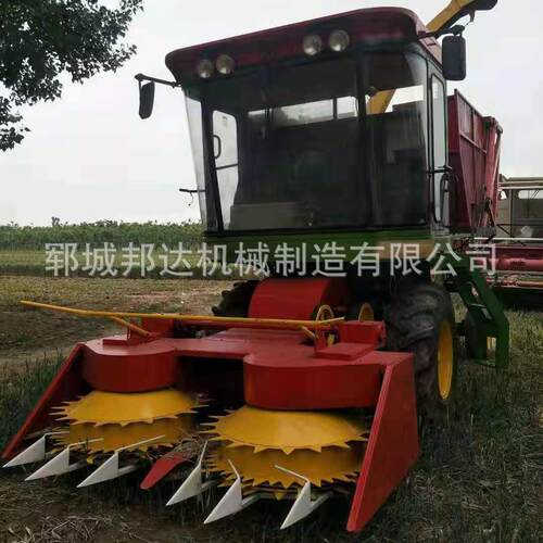 大型玉米收获机背负式玉米联合收割机加青储机农业机械设备