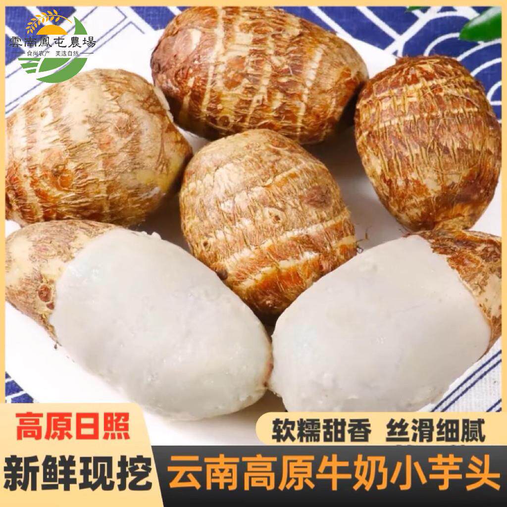 云南牛奶小芋头高山日照充足新鲜采挖皮薄肉厚口感绵密生鲜芋艿