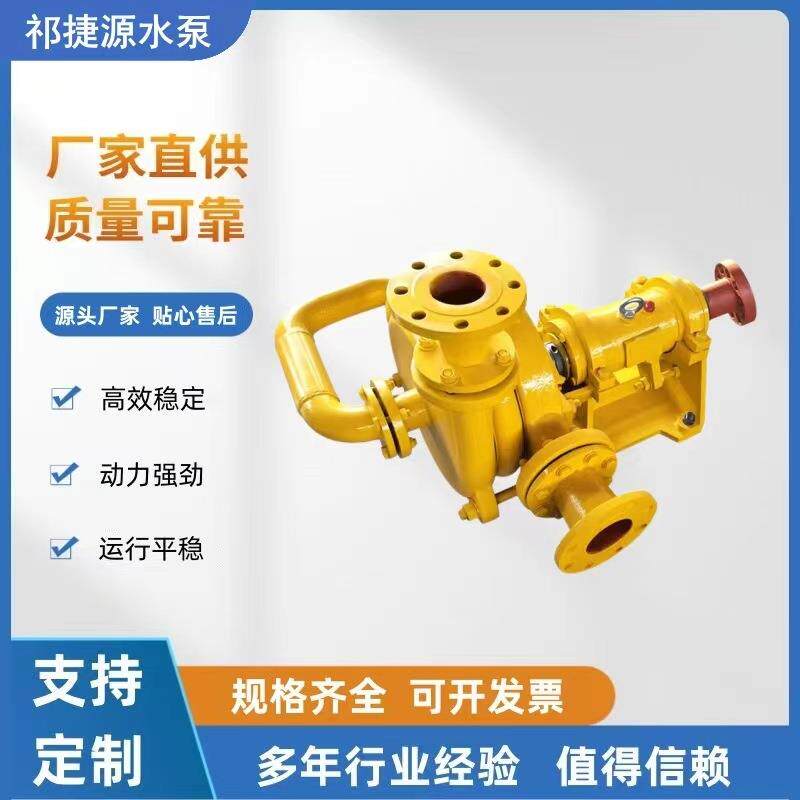 板框压滤机入料泵加压杂质泵煤泥污泥浆泵ZJW200-250浮选机喂料泵