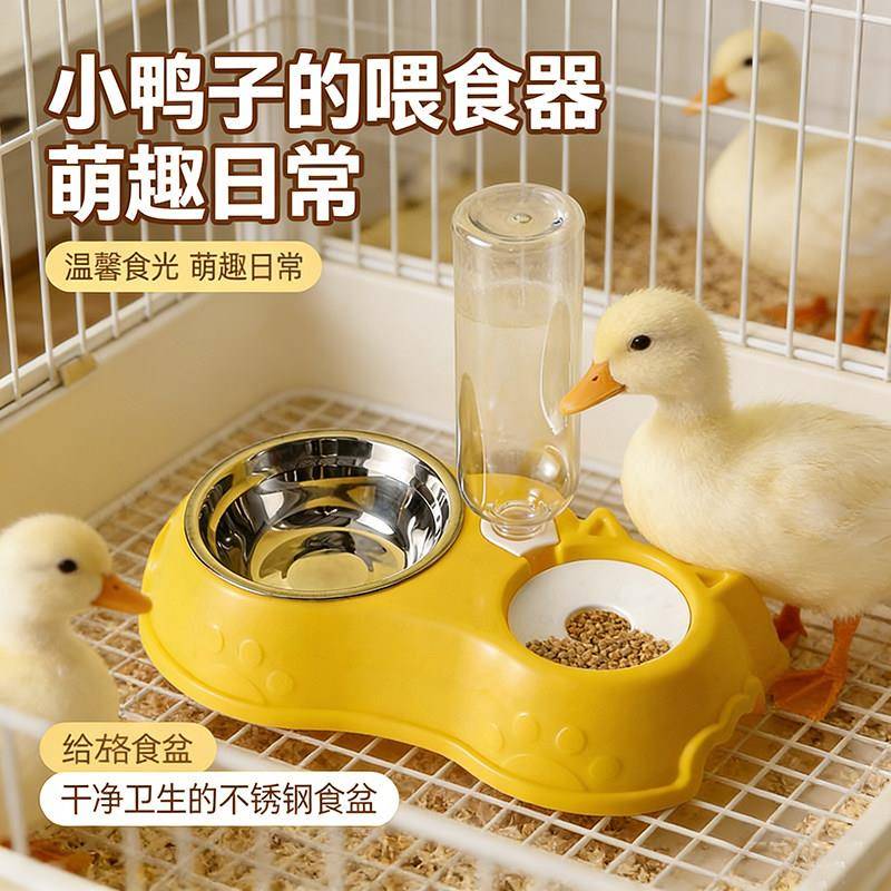 鸡用自动饮水器柯尔鸭喂食器小鸭子食盆吃饭的碗防打翻宠物小鸡的