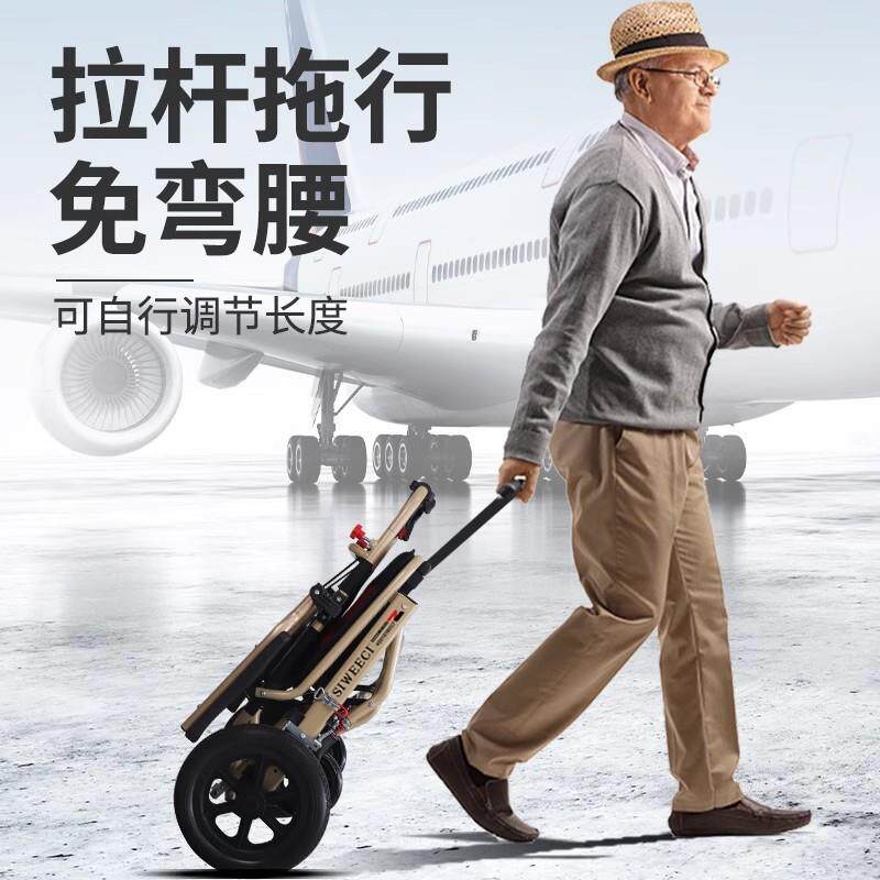 家用电动轮椅老人代步车四轮残疾人双人老年助力车可折叠手推飞机