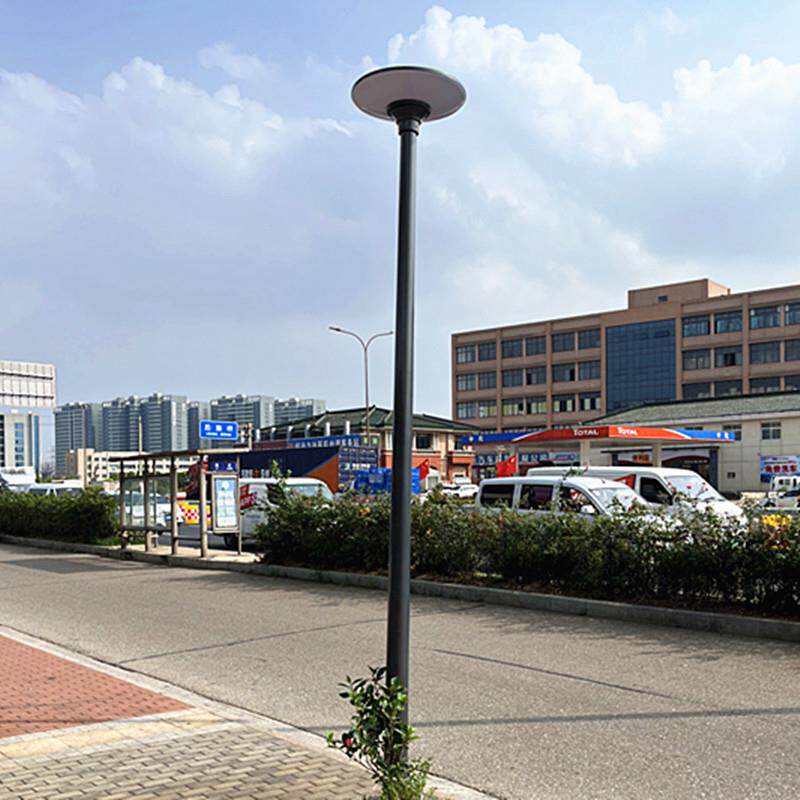 LED小区路灯庭院高杆景观灯别墅广场3米30W灯头工程亮化道路照明