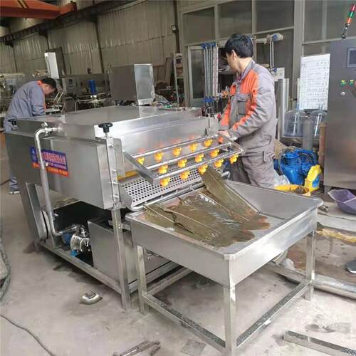 芭蕉叶毛辊洗叶机蒲扇白菜叶类清洗机竹叶清洗设备芦苇叶清洗机器