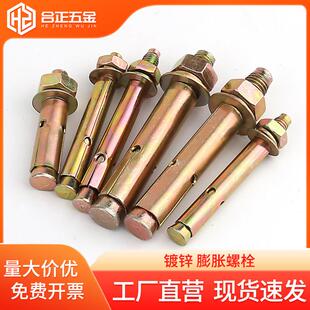 膨胀螺丝国标镀锌拉爆爆炸螺栓M6M8M10M12M14M16*60x70x80x90x100