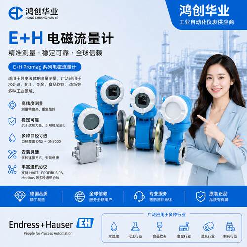 恩德斯豪斯PH电极CPS12D-7NA41数字ORP传感器