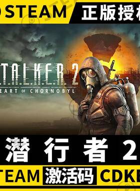 【潜行者2：切尔诺贝利之心】Steam不限区激活码S.T.A.L.K.E.R. 2