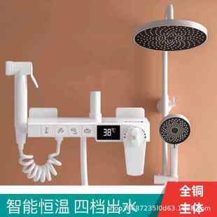 满天星沐浴器增压喷头花洒套装 简约全铜白色恒温数显淋浴花洒套装
