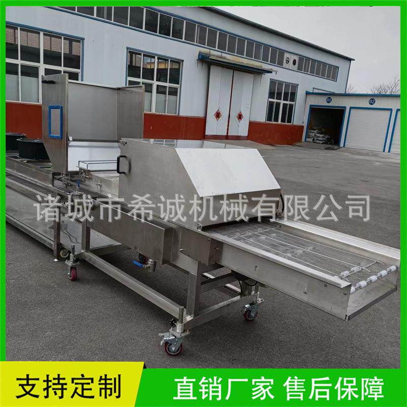 浸入式大枣片裹糖机自动加热裹糖稀设备冻干草莓上糖裹芝麻设备