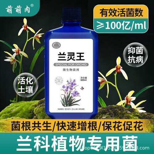 兰灵王兰花专用营养液肥料兰陵王EM菌兰科蝴蝶兰墨兰君子兰促花液