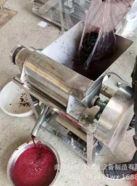 桑葚蓝莓番茄螺旋挤汁机大型不锈钢水果榨汁机红枣去核打浆机