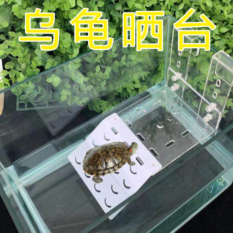 亚克力乌龟晒台晒背爬台挂壁挂钩龟缸箱爬坡爬架水族箱浮岛高水位