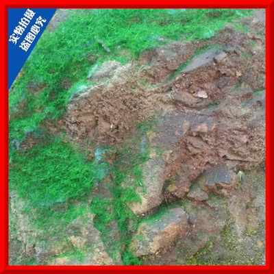 山草粉墙青苔树盆景青草装饰青草假假尼龙景绿化藓装饰厂家直销假