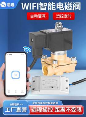 wifi远程遥控电磁阀水阀220v手机智能定时水管阀门开关自动控制阀