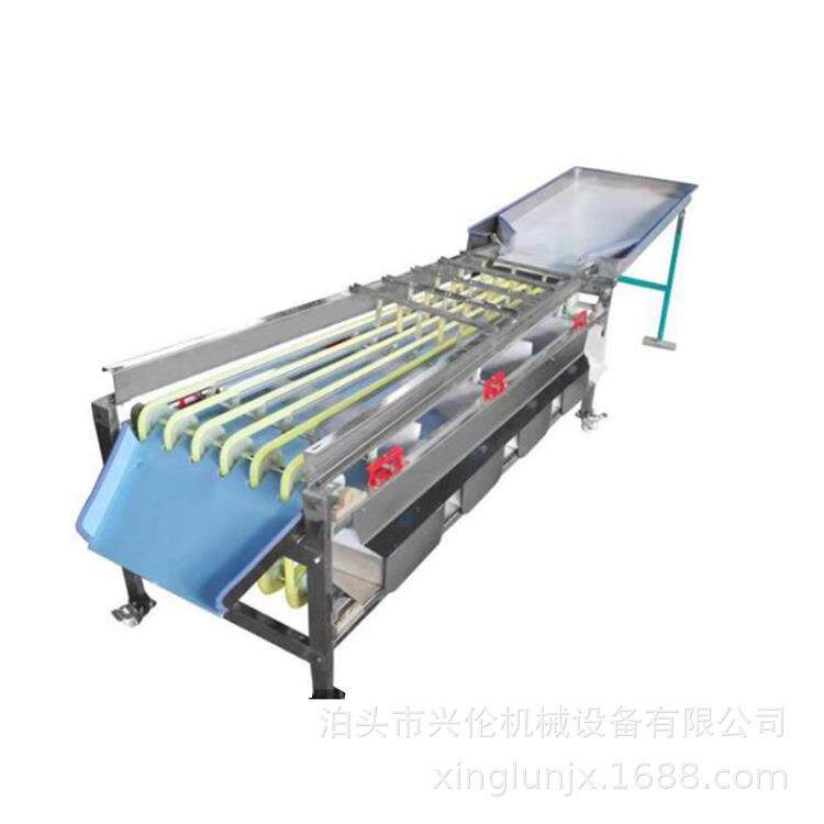 桂圆分拣机橄榄选果机不锈钢材质轨道式斜板出料果蔬分选机
