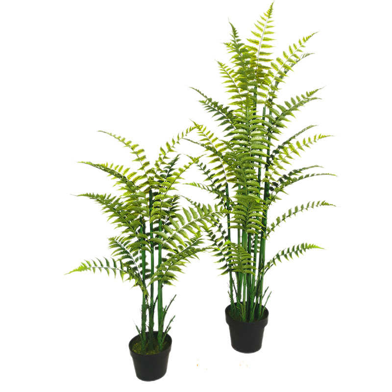 仿真植物蕨类盆栽假波斯蕨香蕨室内装饰橱窗造景热带绿植蕨叶摆件