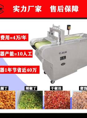 全钢大型果脯切丁机果干切丁机猕猴桃干切丁蔓越莓干香菇切丁机