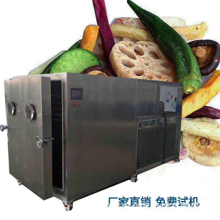 众发fd真空脱水水果蔬菜食品冻干机商用花茶蜂蜜柠檬冷冻干燥机