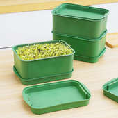 育苗盘种植发芽盆大容量家用豆芽机发豆芽专用盆神器生黄绿豆芽罐