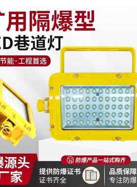 DGS24/127L(A)矿用LED巷道灯36瓦方形款隧道防爆照明灯36V/127V