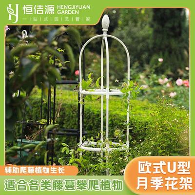月季花架爬藤架室内阳台铁线莲爬藤植物花盆飘香藤玫瑰花支架户外