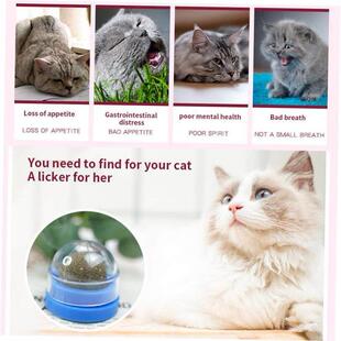 Catnip Ball Wall Pet Cat for Toys Clean Prom Mouth Cats