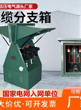 10KV欧式电缆分支箱20/35KV一进三五出户外高压不锈钢铜排对接箱