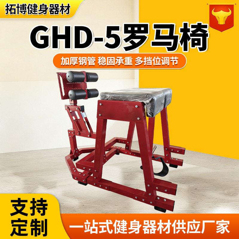 多功能罗马椅家用健身器材罗马凳反超伸一体机腹背训练器挺身凳