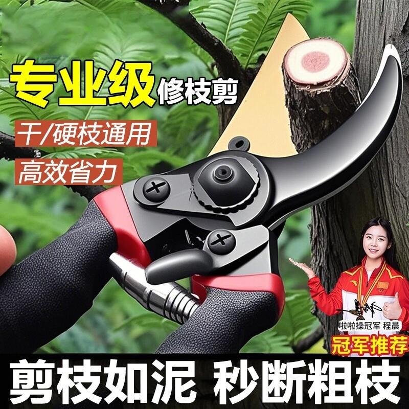 德国园艺修枝剪专业级艺园剪刀剪枝条专用高效省力果园林园花园剪