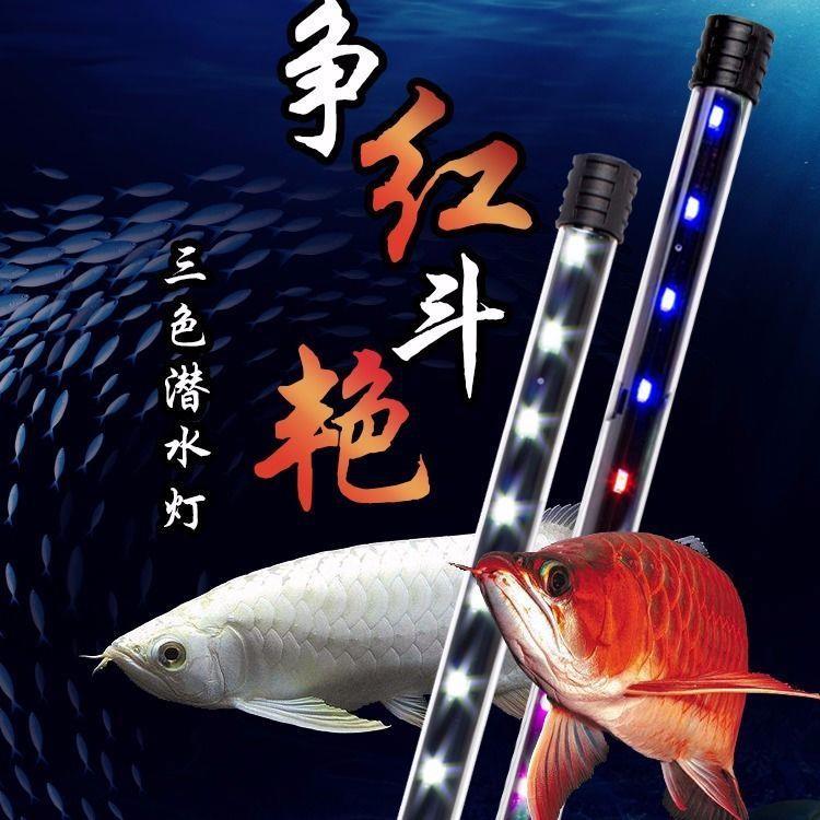 LED龙鱼缸灯水陆两用水中照明灯LED水草水族箱潜水led照明防水灯