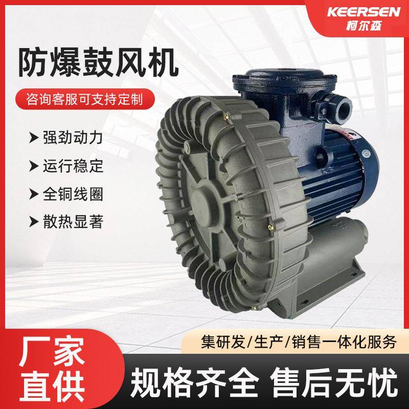 BT4防爆压鼓风机旋涡气泵CT4防爆压漩涡风机除尘吸尘机配套
