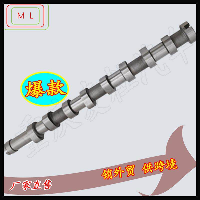 凸轮轴31330194,C369, CAM969, HV0346, 1685737, AV6Q6250BA