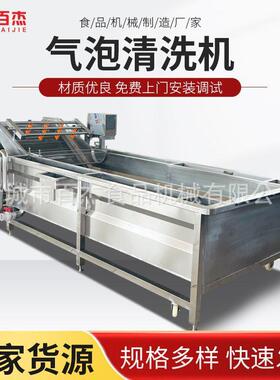 厂家直销果蔬清洗机小龙虾去杂质设备中药材气泡清洗机