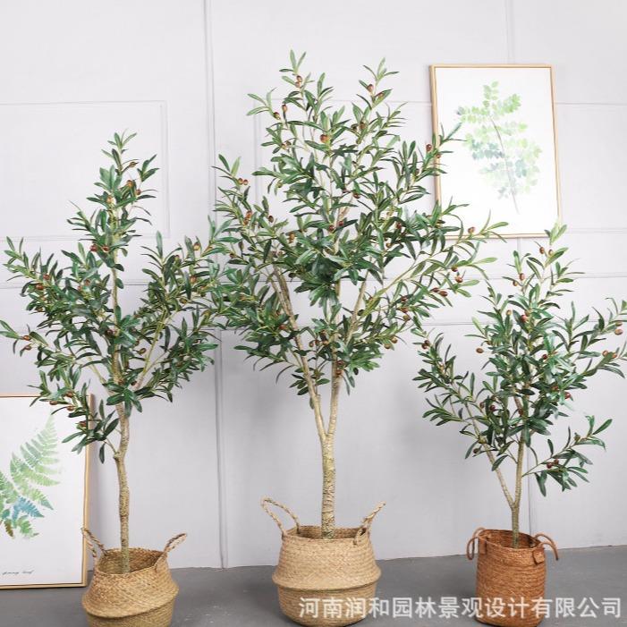 仿真植物带果橄榄树可拆装绿植盆栽旅人仿真花蕉人造散尾葵假树