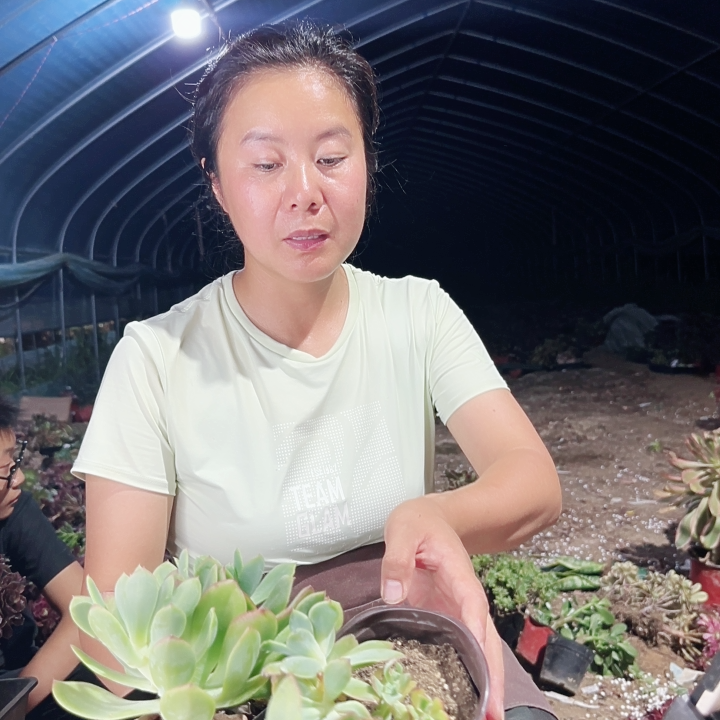 25包邮！法师专场组合16.67使用感如何?