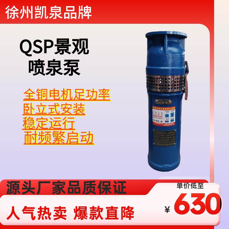 QS QSP铸铁深井泵高扬程潜水泵景观音乐喷泉泵三相电动水泵