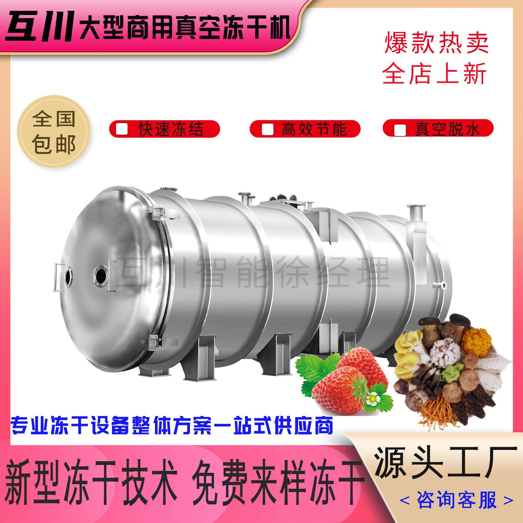 不锈刚冻干机 全自动水果片冻干机械 玫瑰花低温冷冻干燥脱水设备