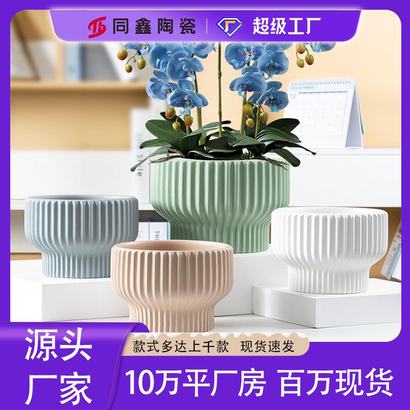 陶瓷花盆厂家直销简约轻奢风蝴蝶兰专用花盆郁金香大号花盆高级感