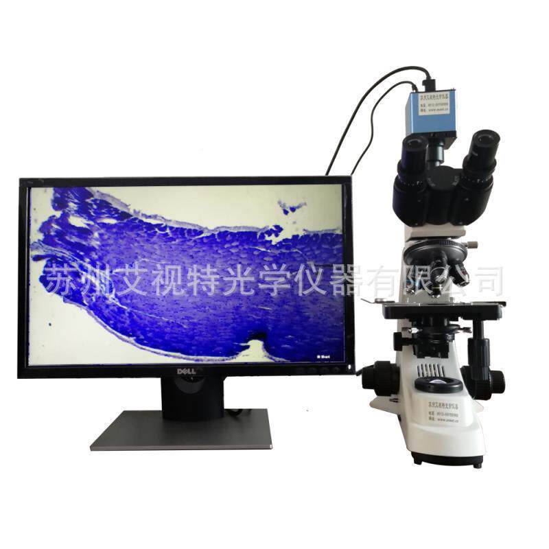 实验室教学用生物显微镜看细菌污水处理用生物显微镜