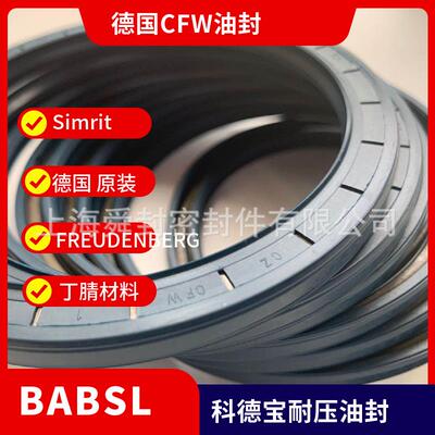 BABSL 70*90*7 科德宝 49008932 CFW SIMRIT 大量德国原装