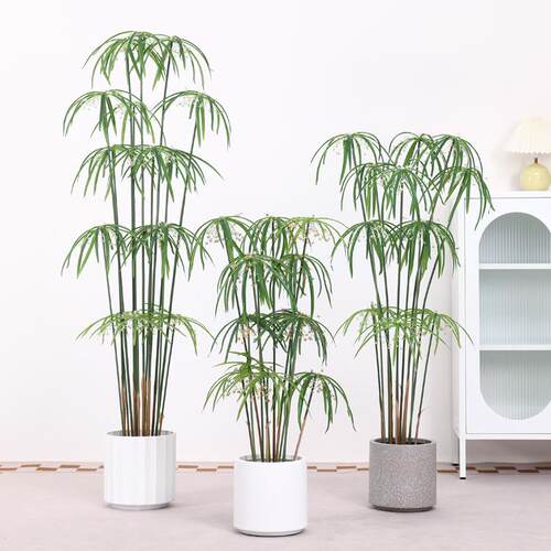 高级仿真风车草大型仿生植物水竹盆栽造景客厅落地假绿植装饰摆件