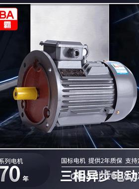 2/4/6极交流三相异步电动机308VYE3/Y3系列纯铜线马达22w电机
