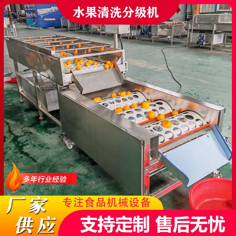 全自动果蔬清洗分选机柑橘选果机沃柑加工筛选机橙子分选设备水果